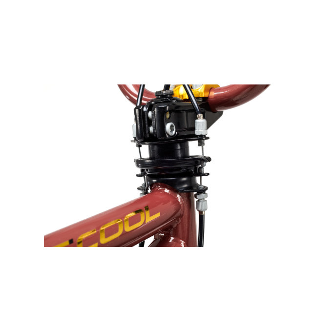 Dětské kolo XtriX 20 hnědé/zlaté (od 120 cm)