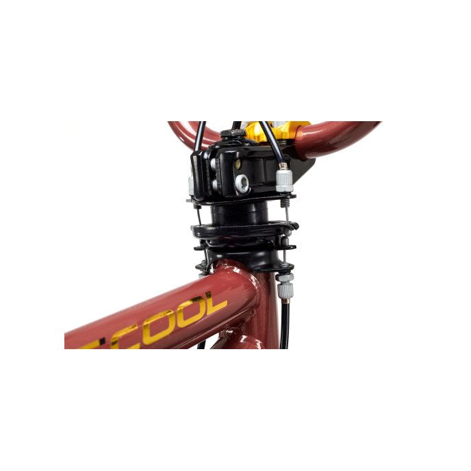 Dětské kolo XtriX 20 hnědé/zlaté (od 120 cm)