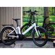 Městské elektrokolo Evening 24"