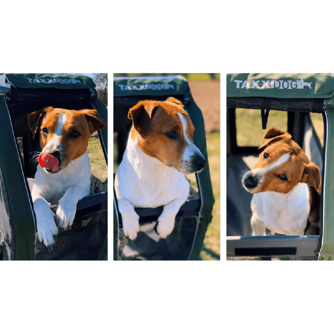 TaXXI Vozík pro psa M tmavě šedá/tmavě zelená