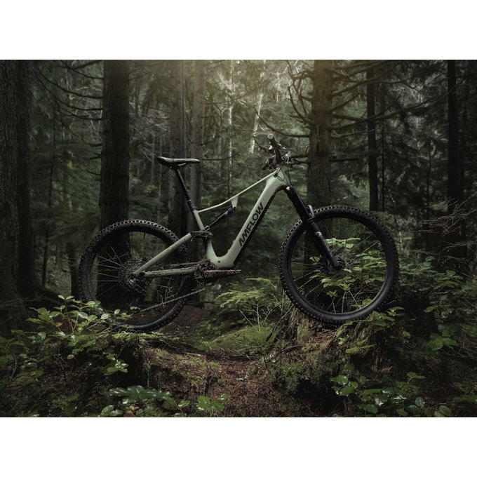 AMFLOW PR Carbon 29"